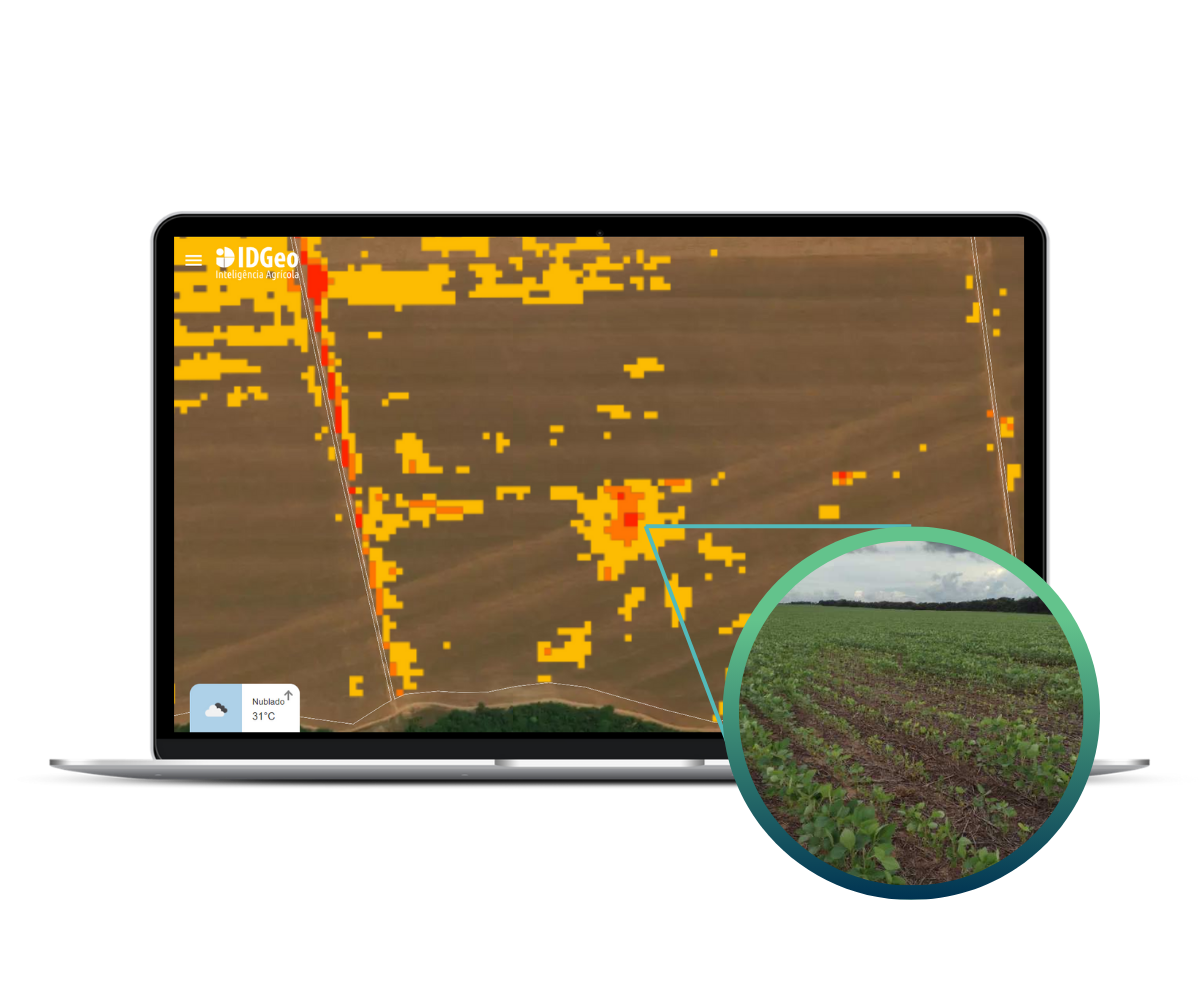 Grains IDGeo Agricultural Solutions