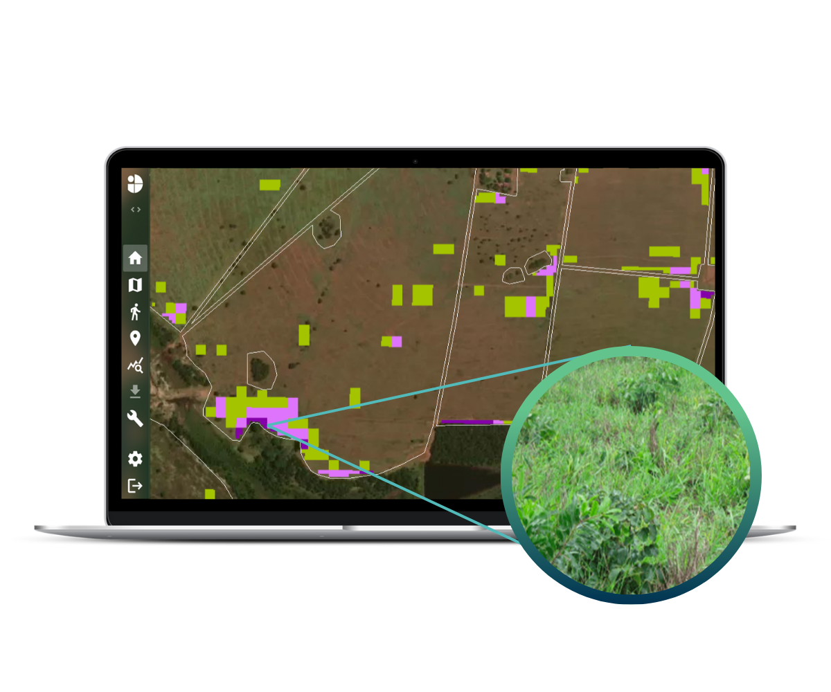 Pasture IDGeo Agricultural Solutions