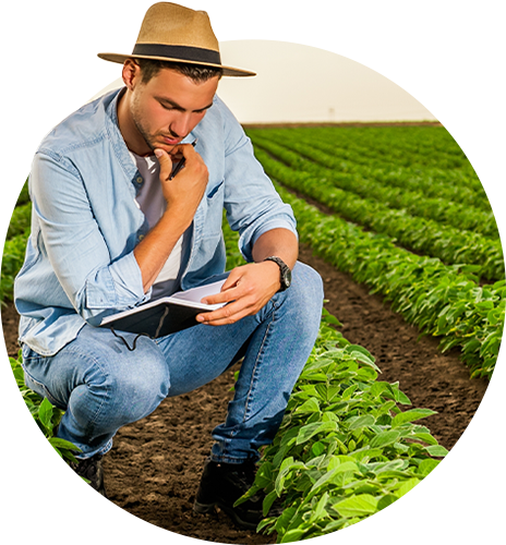 Produtor analisando lavoura