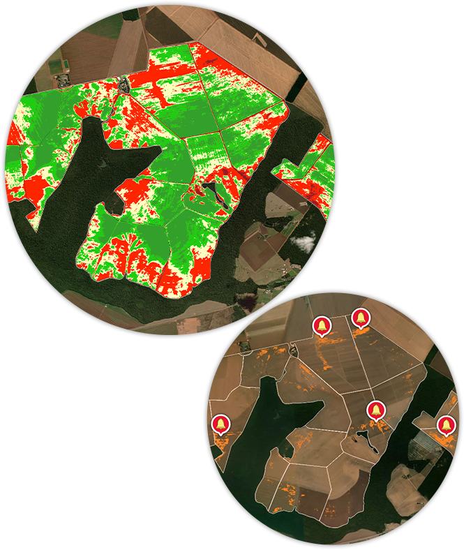 Mapa Georreferenciado